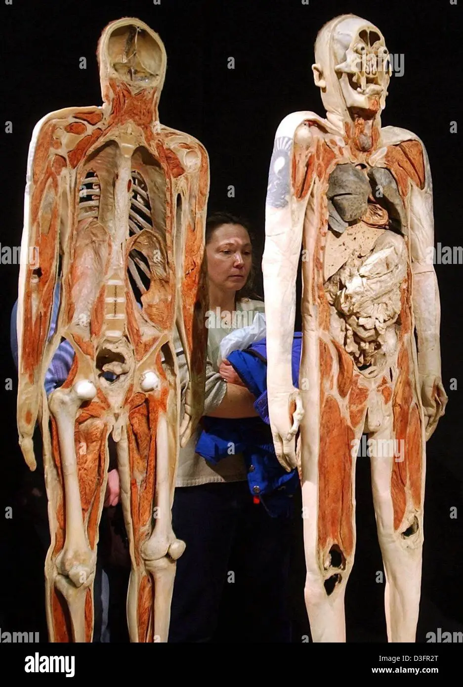 BODY WORLDS exhibition: unprecedented excitement and high ratings from visitors