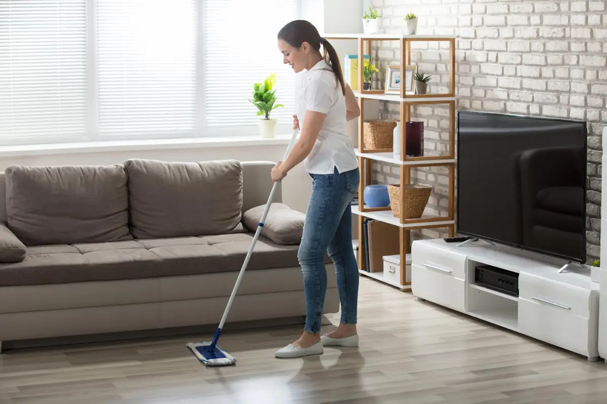 Cleaning the apartment where the pet lives: 5 useful tips