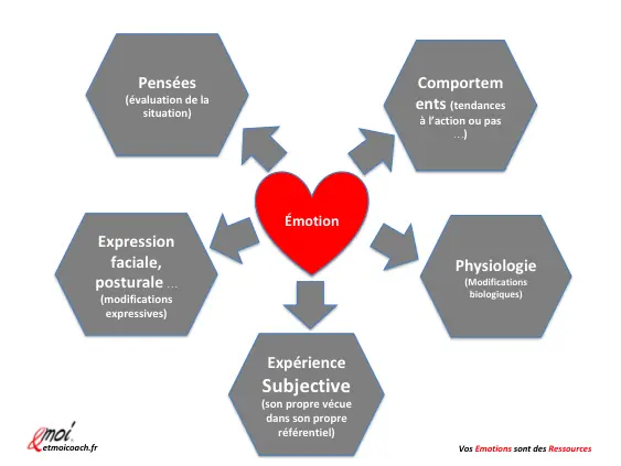 Emotions are manifestations of the five elements