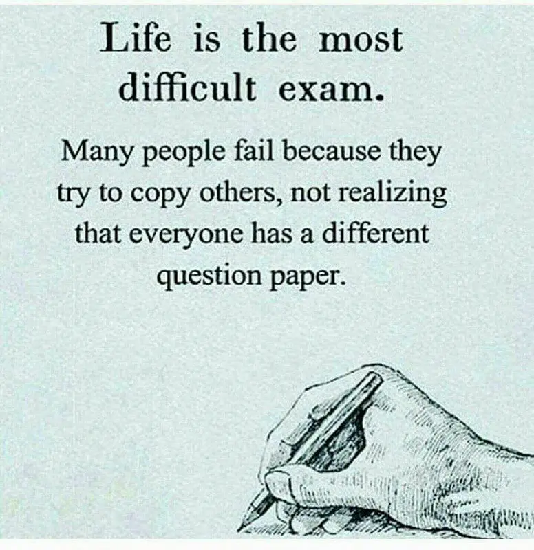 Exam for life: why we are nervous when we are assessed