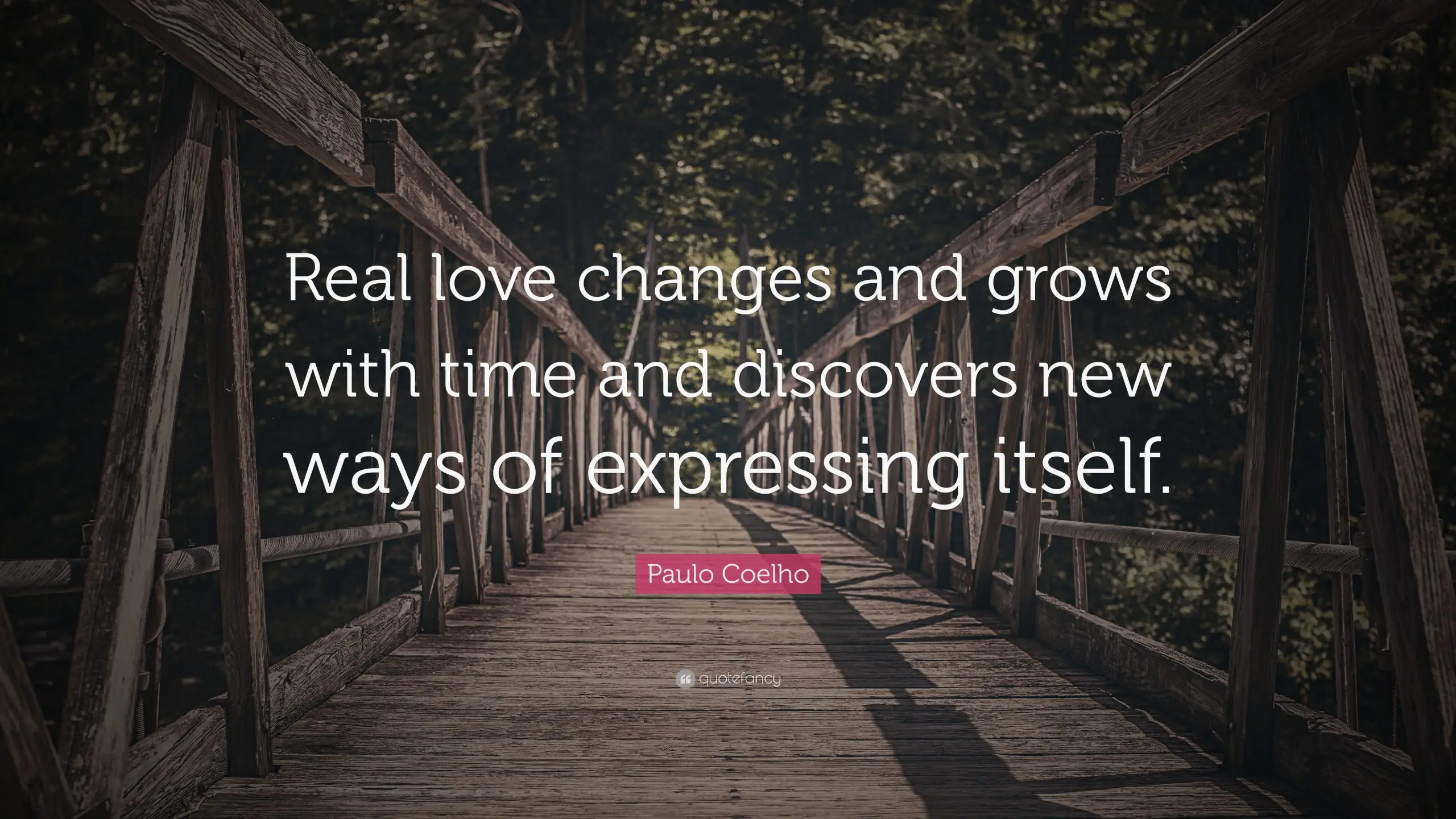 How love changes: four stages in the development of feeling