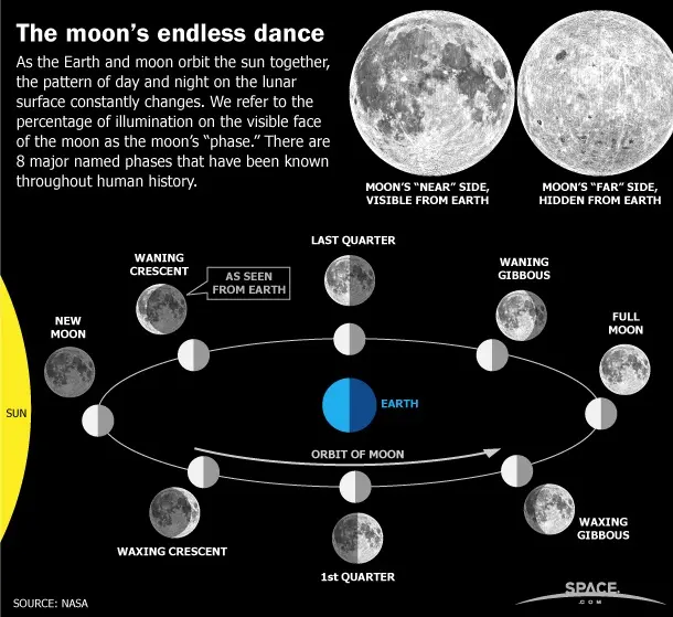 How lunar cycles help women stay young and healthy