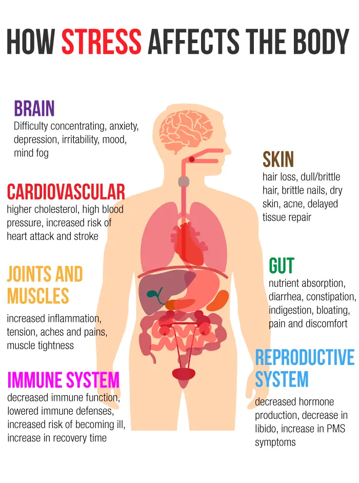 How stress and anxiety affect the skin