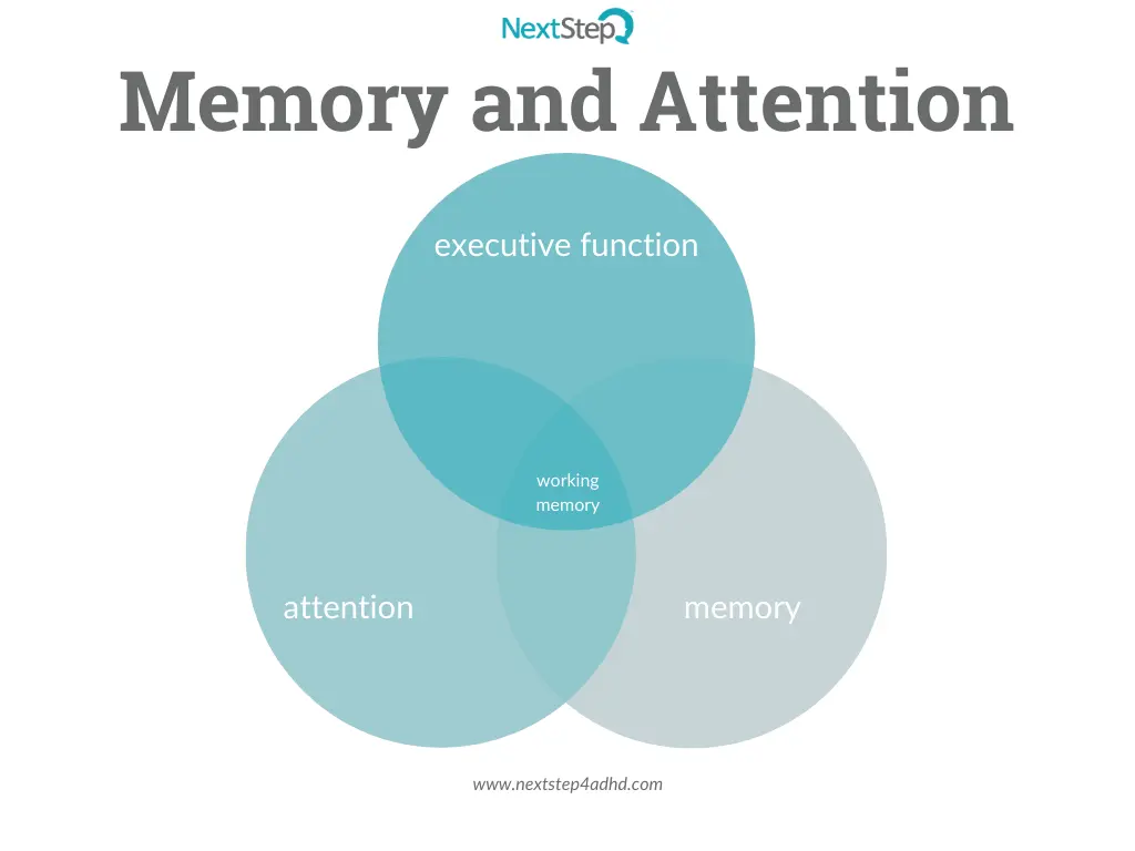 Memory vs attention: how to understand what exactly you have problems with?