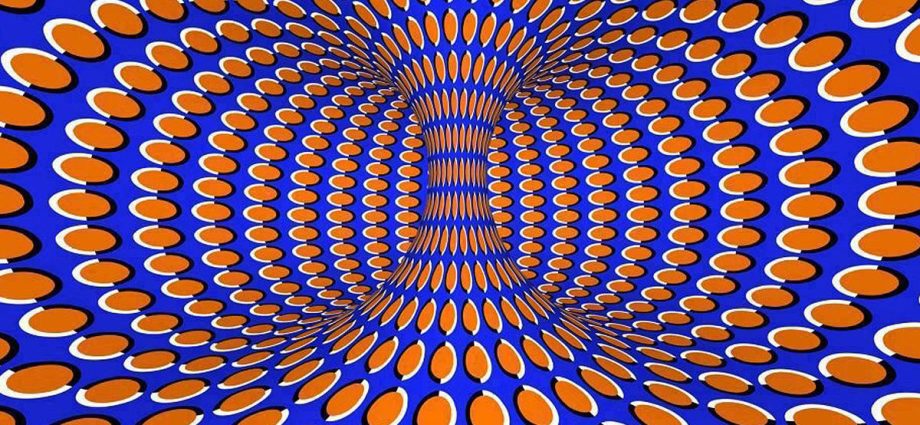 Optical illusion: why we do not see our body as it is