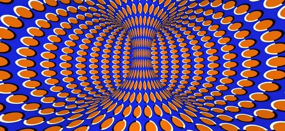 Optical illusion: why we do not see our body as it is