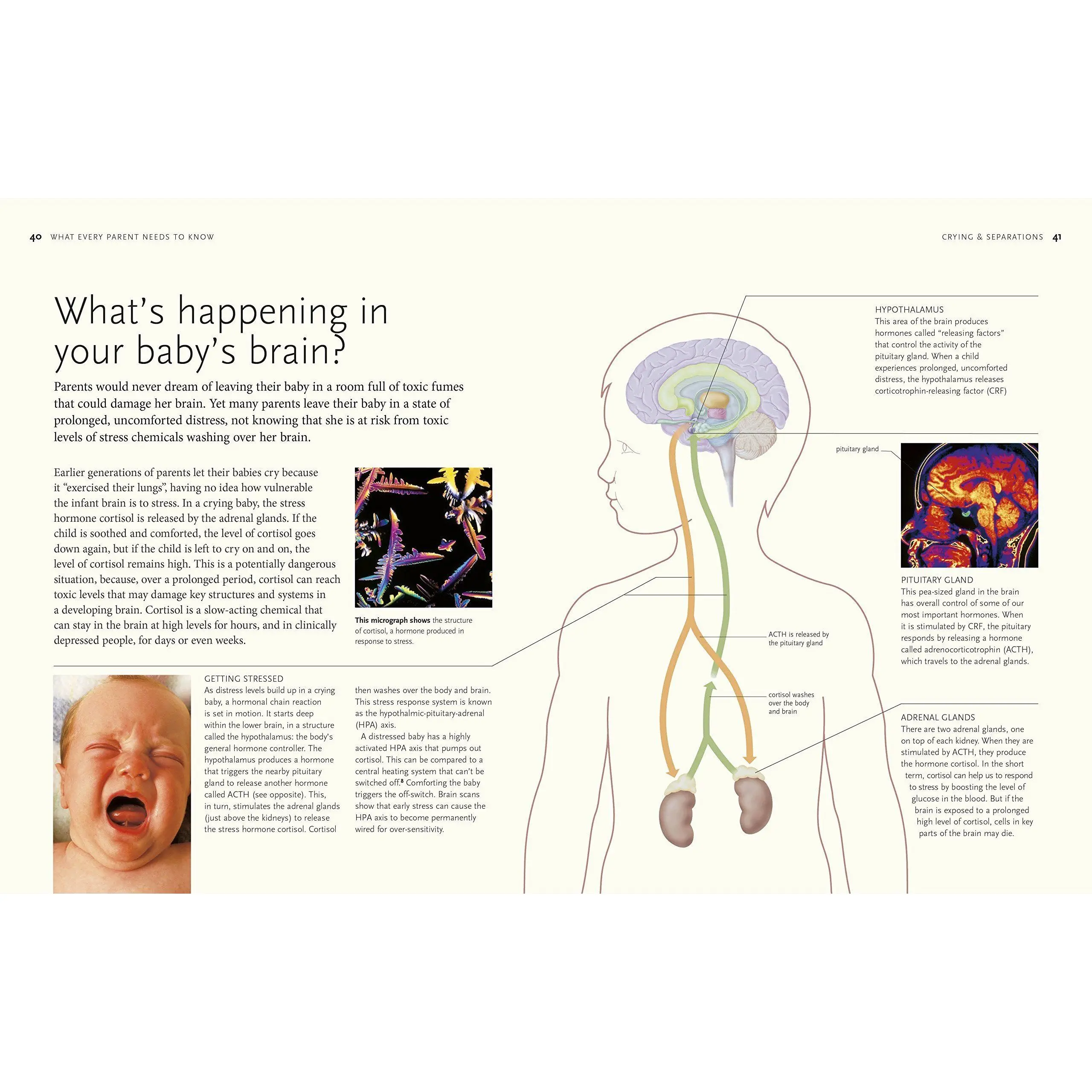 Parental love prolongs our lives: scientific evidence