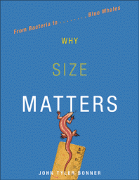 Size Matters: Why Men &#8216;Want Bigger&#8217;