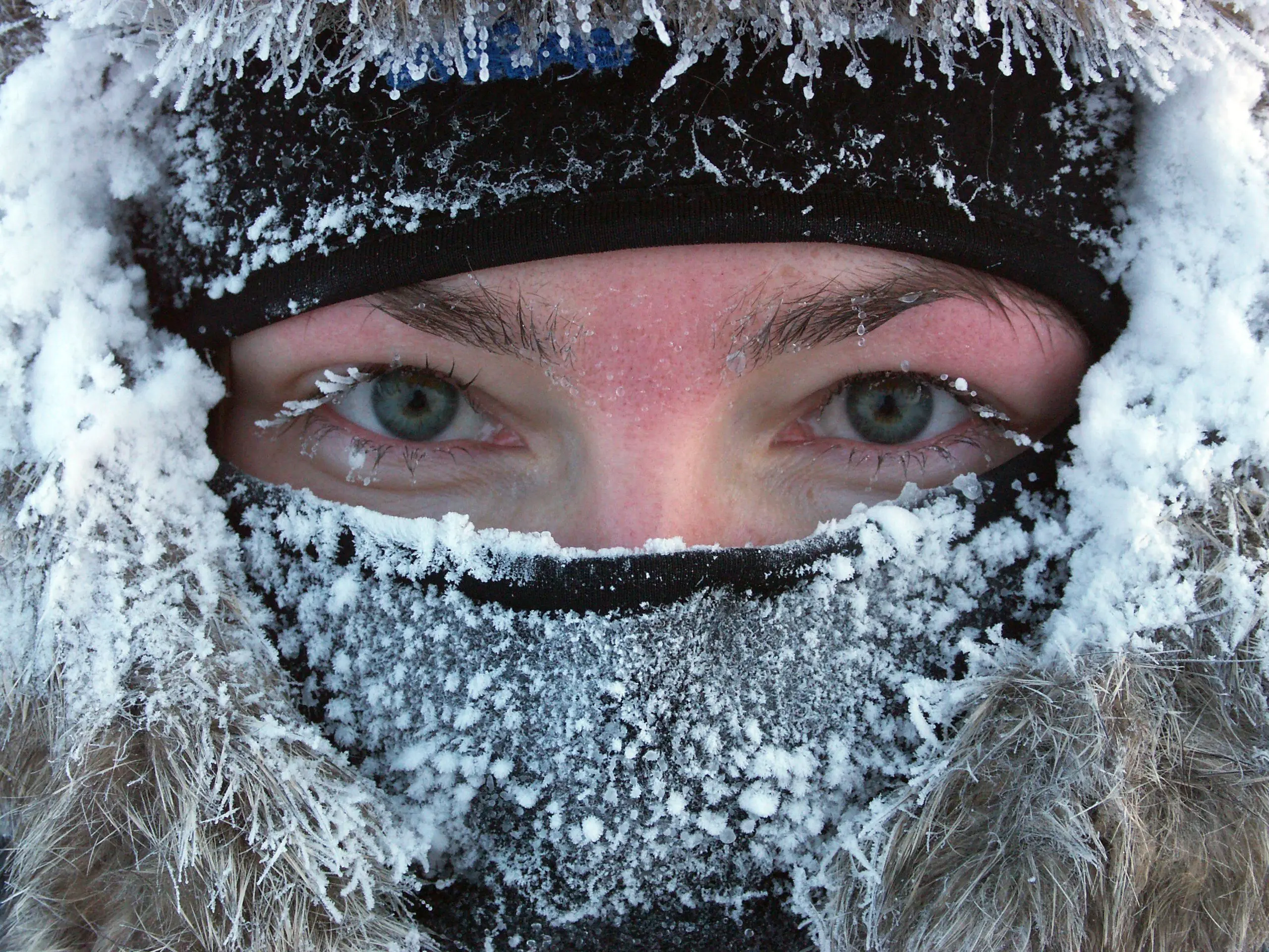 “Snow cuts cheeks, bakes ears with frost”: signs and traditions of January