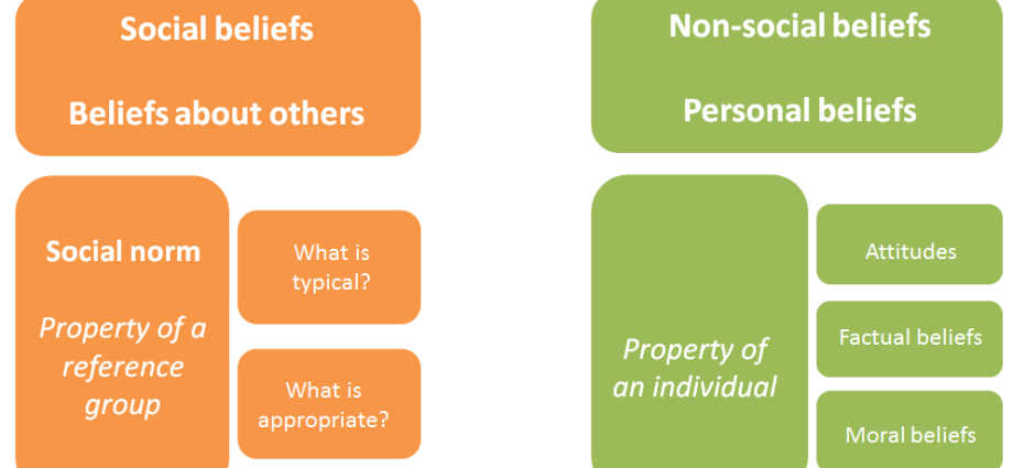 Social Norms and Gender Violence: How Are They Linked?