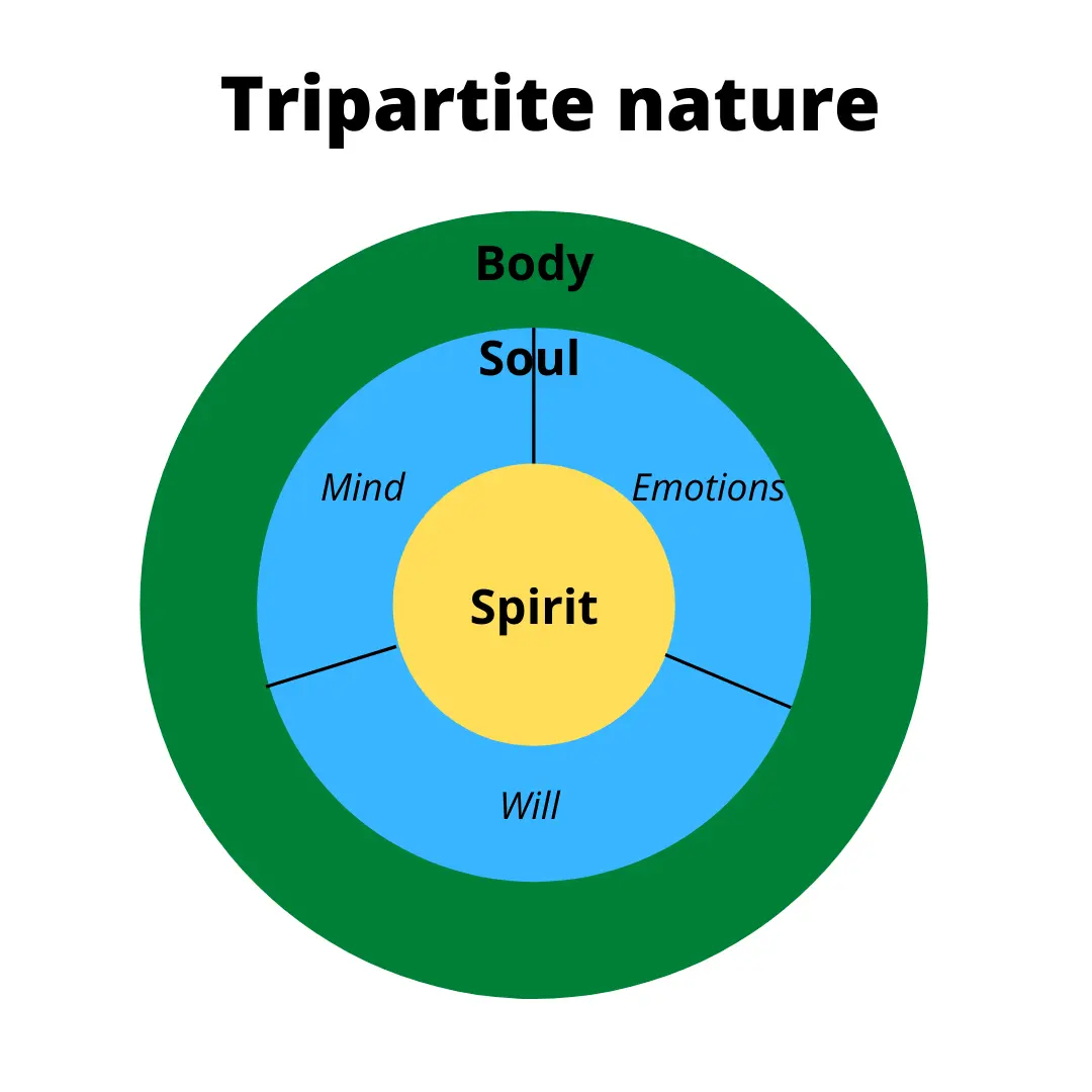 Soul vs body: series on the topic