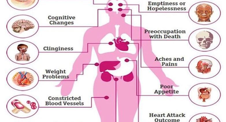 Stress can make us younger: how?