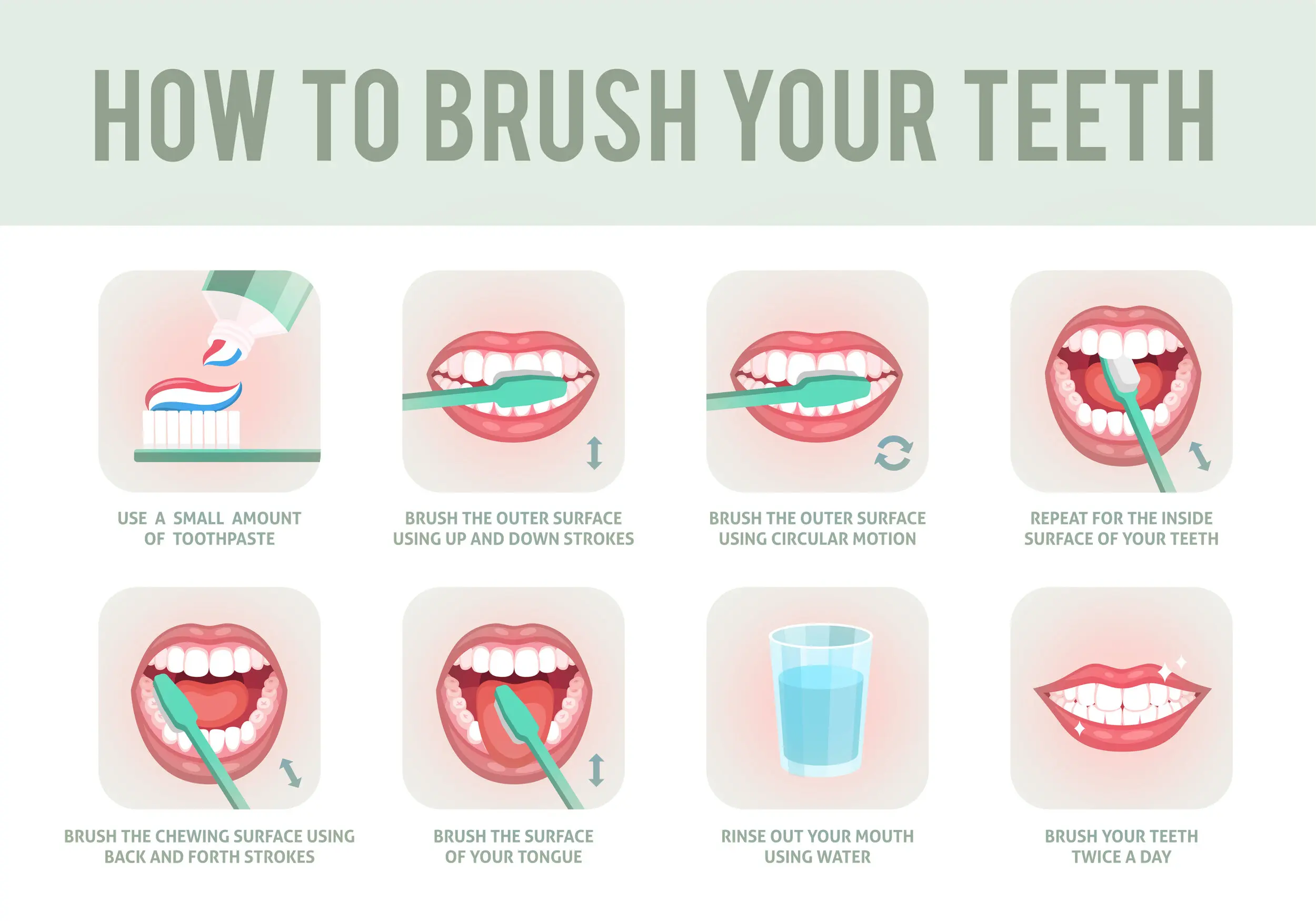 Teeth: how to properly care for the oral cavity