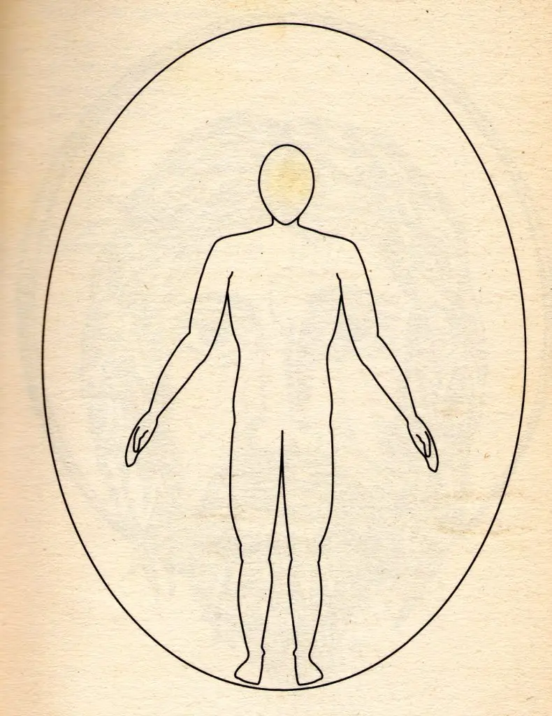 Wei qi &#8211; protective energy of the body: exercise and nutrition for immunity