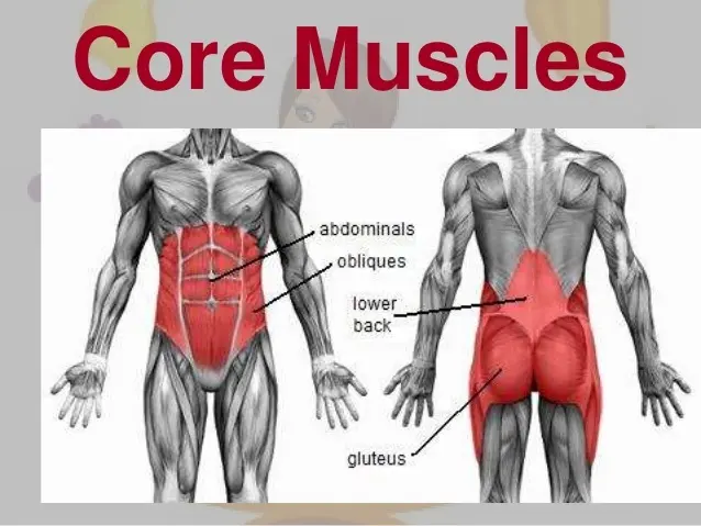 What are core muscles and how to work them
