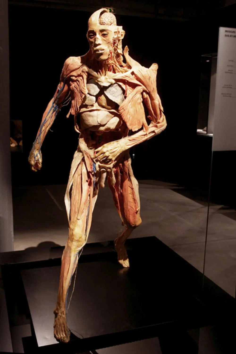 What our body hurts about: 7 important signals