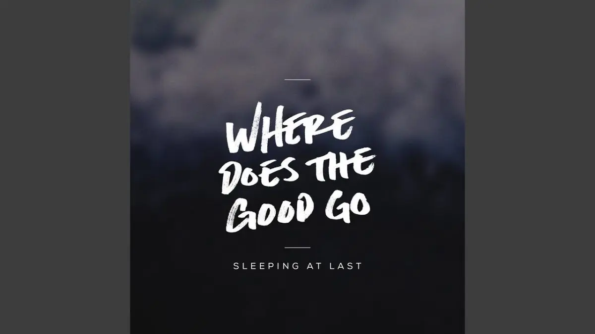 Where does the vigor go?