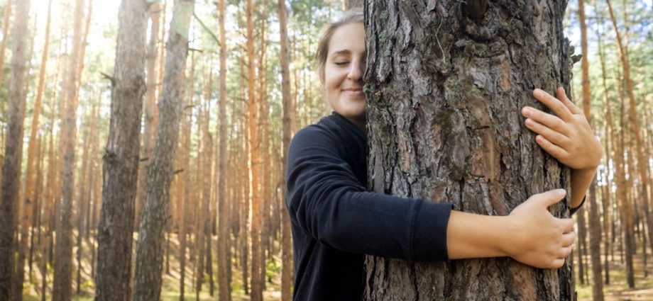 Why hug trees: how the energy of the forest helps us