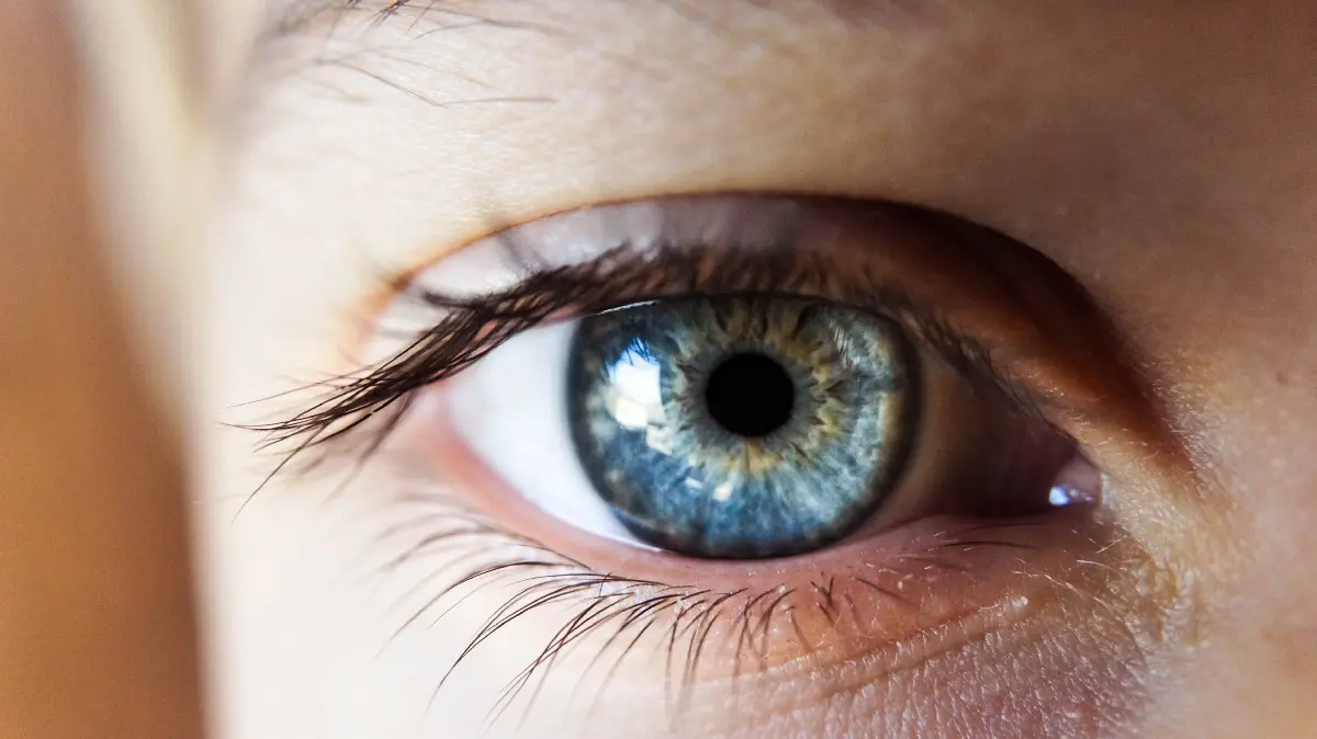 3 reasons and 4 methods to get rid of the fear of looking people in the eye