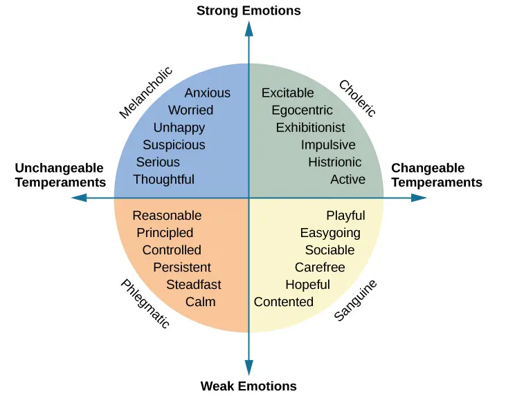 4-tipuri-de-temperament-i-modul-n-care-se-manifest-la-b-rba-i