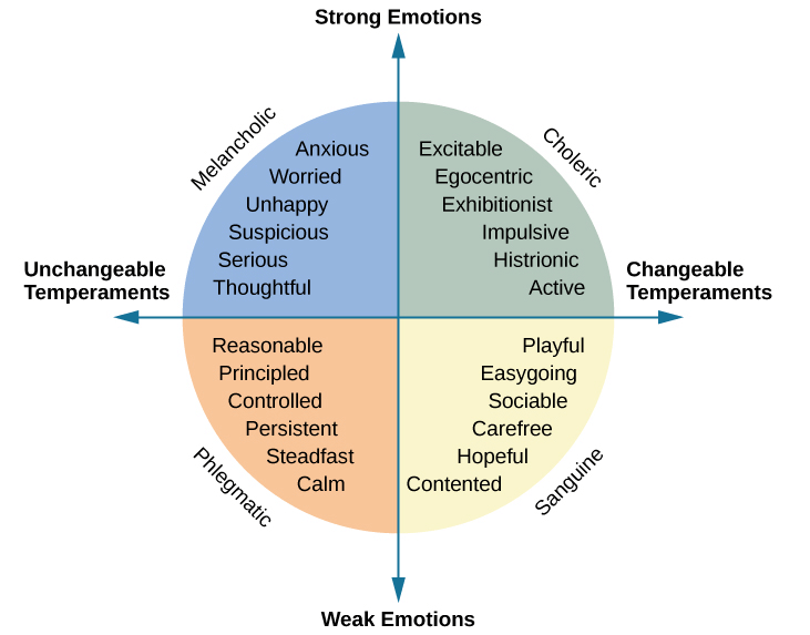 4 Tipuri De Temperament i Modul n Care Se Manifest La B rba i 