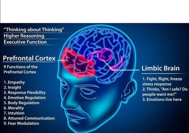 6 mysteries of our subconscious