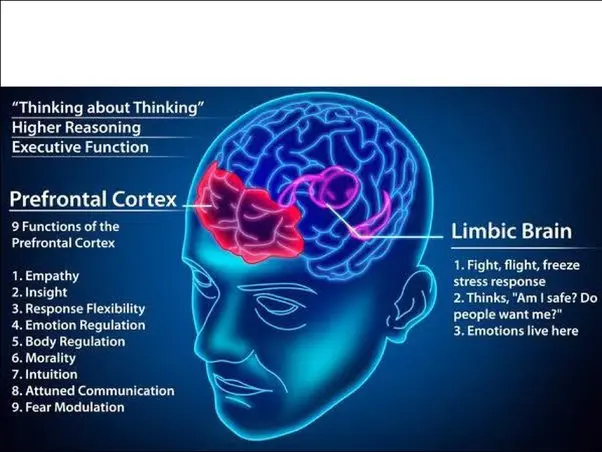 6 mysteries of our subconscious