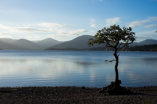 «成為湖»：大自然如何幫助我們保持內心的平靜