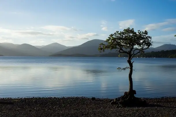 «Being a lake»: how nature helps us maintain peace of mind