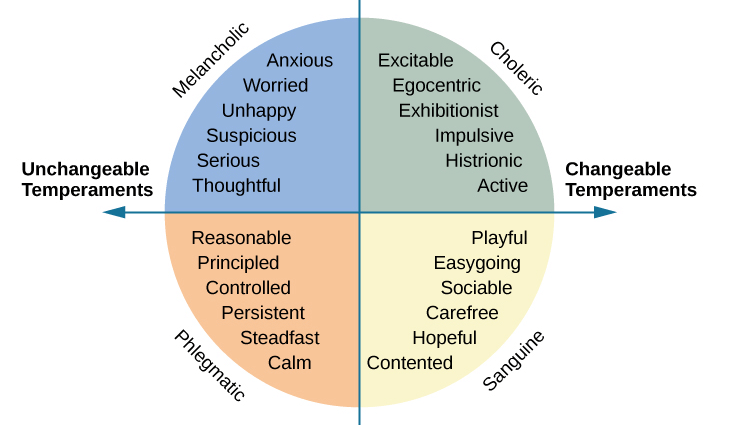 Brief description of the 4 main types of temperament in psychology and one universal