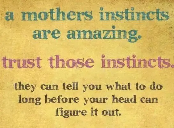 Can you trust your mother’s intuition?