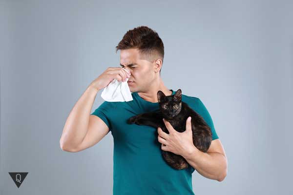    Causes of Ailurophobia and treatments for fear of cats