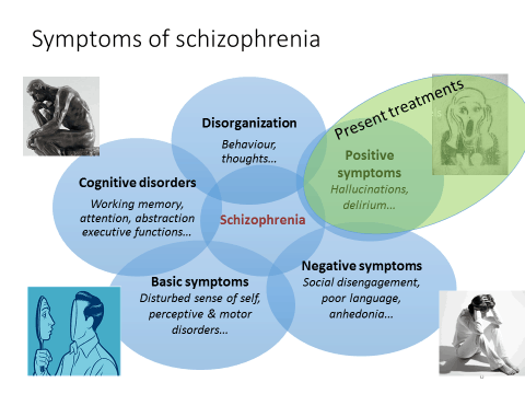 Cognitive and negative symptoms in schizophrenia