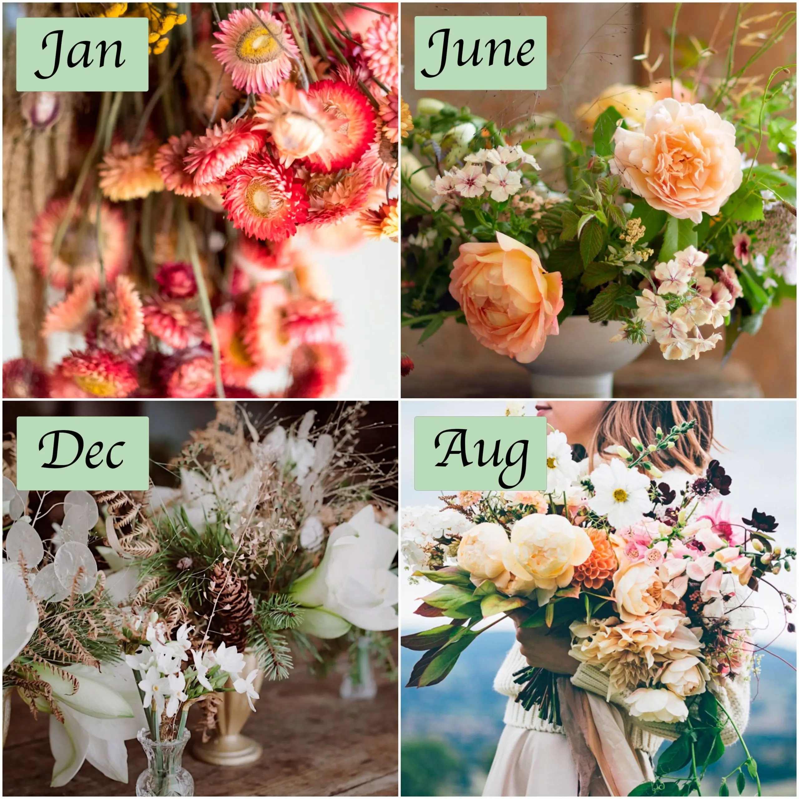 «Cut down a birch, decorate with flowers»: signs and traditions of June