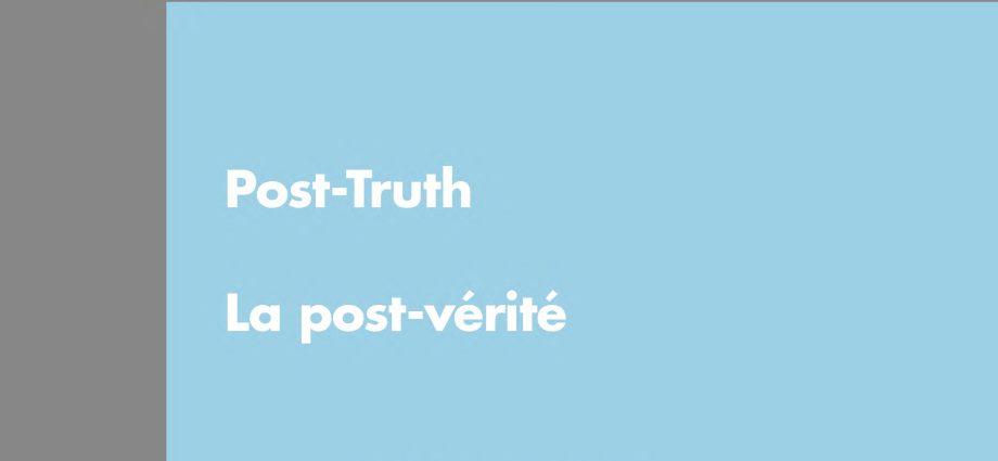 “Everyone lies”: who benefits from fake news?