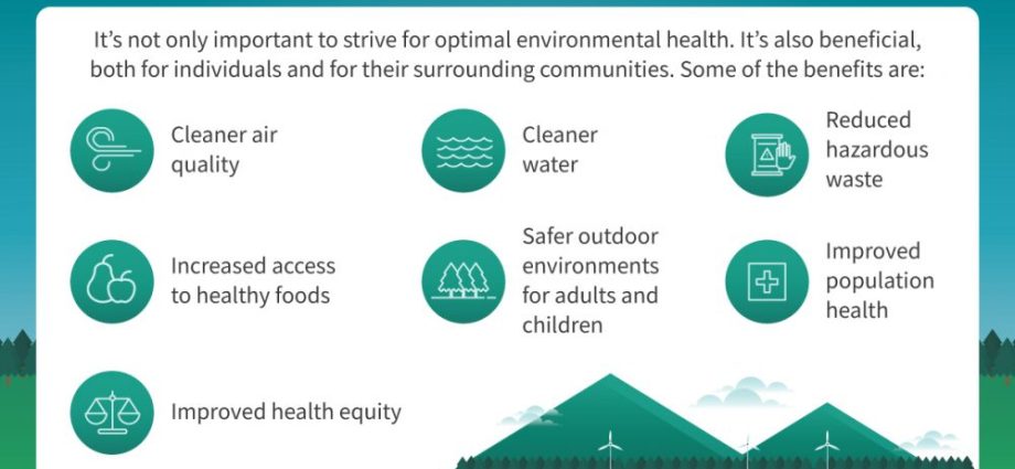 Facts of the influence of the environment on a person