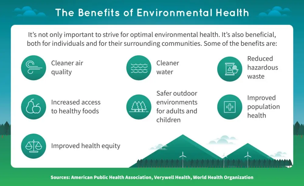 Facts of the influence of the environment on a person