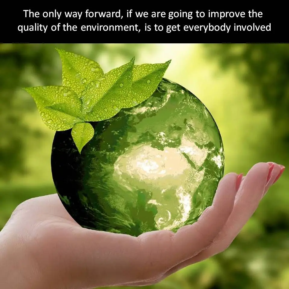 «Green» life: why do we need environmental awareness?