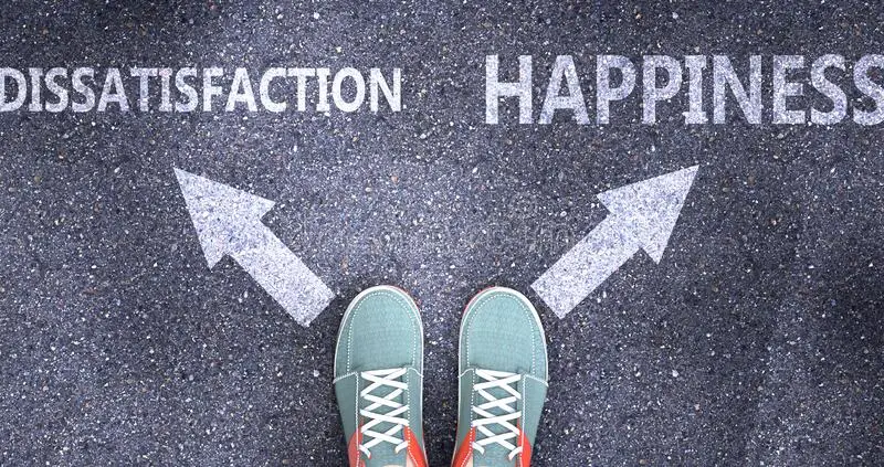 Happiness and dissatisfaction: does one interfere with the other?