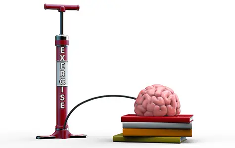 How sport helps to «pump» the brain