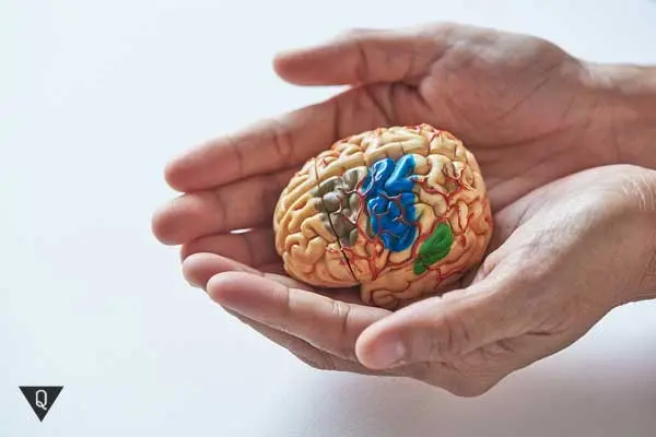 How to develop the unlimited possibilities of the human brain