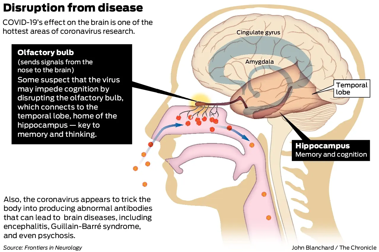 How to restore memory and thinking after covid