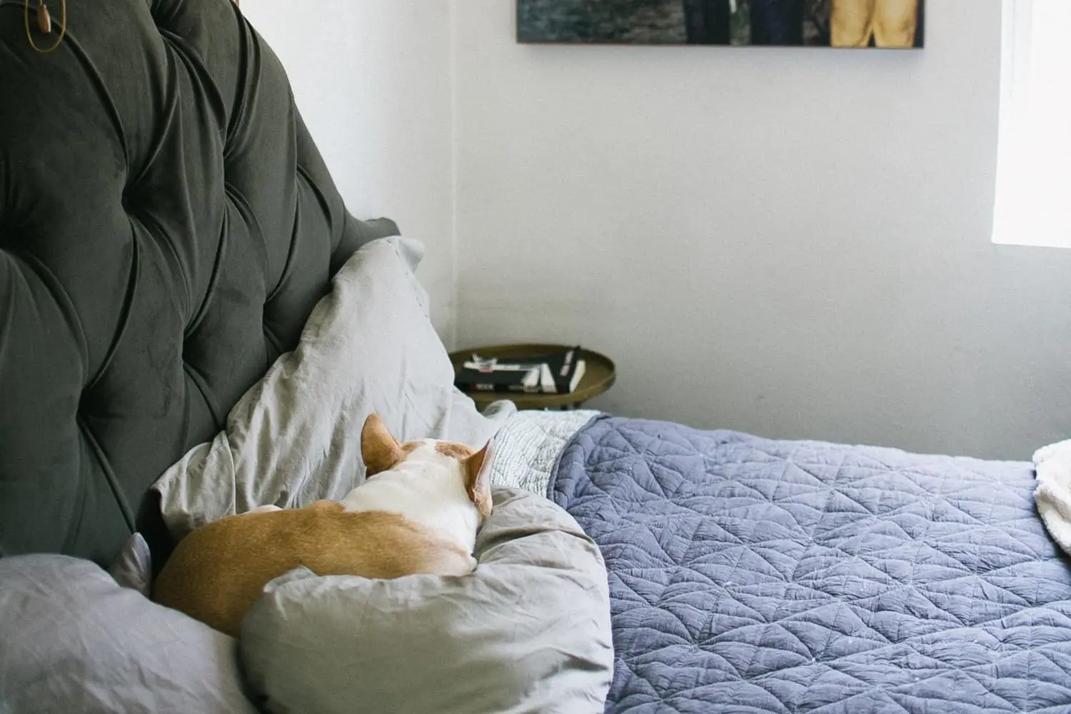 How to wake up happy (even in winter)