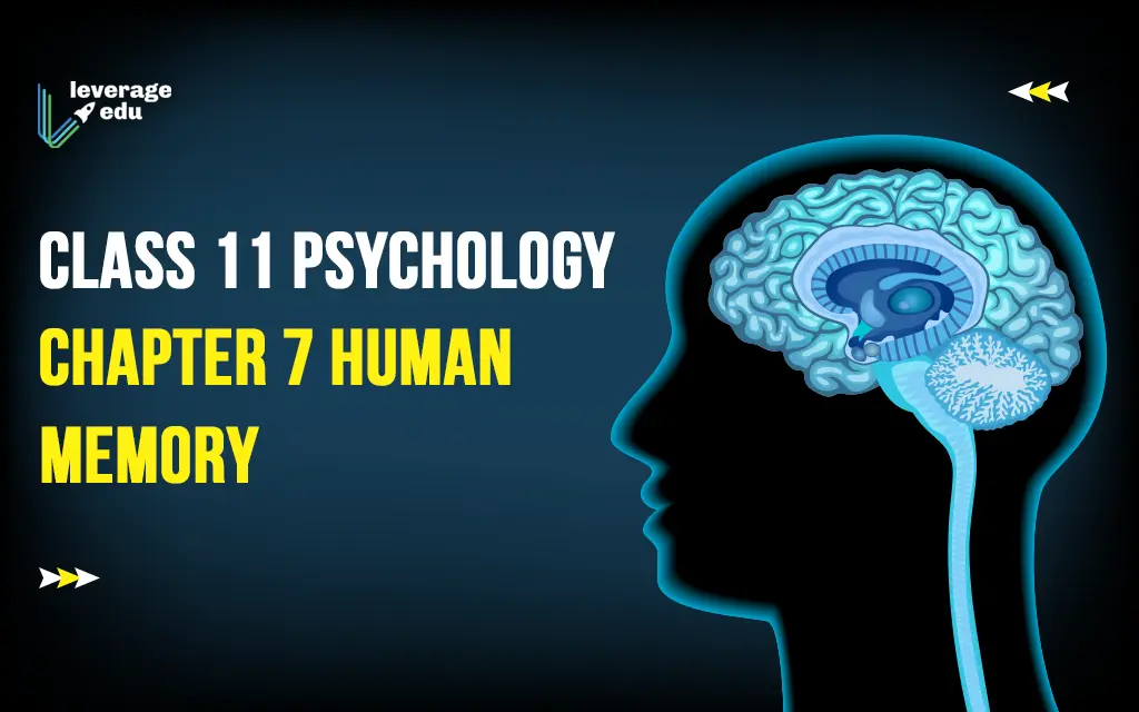 Human memory from the point of view of psychology: plus 7 interesting facts