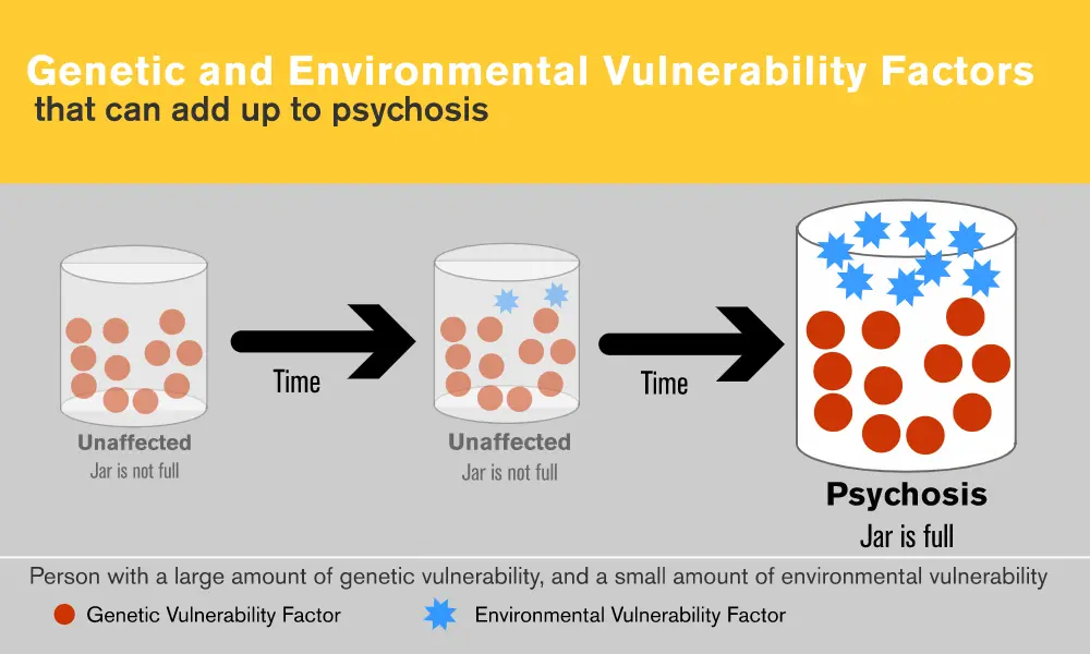 Is it all about the genes? Why do some people get schizophrenia and others don’t?