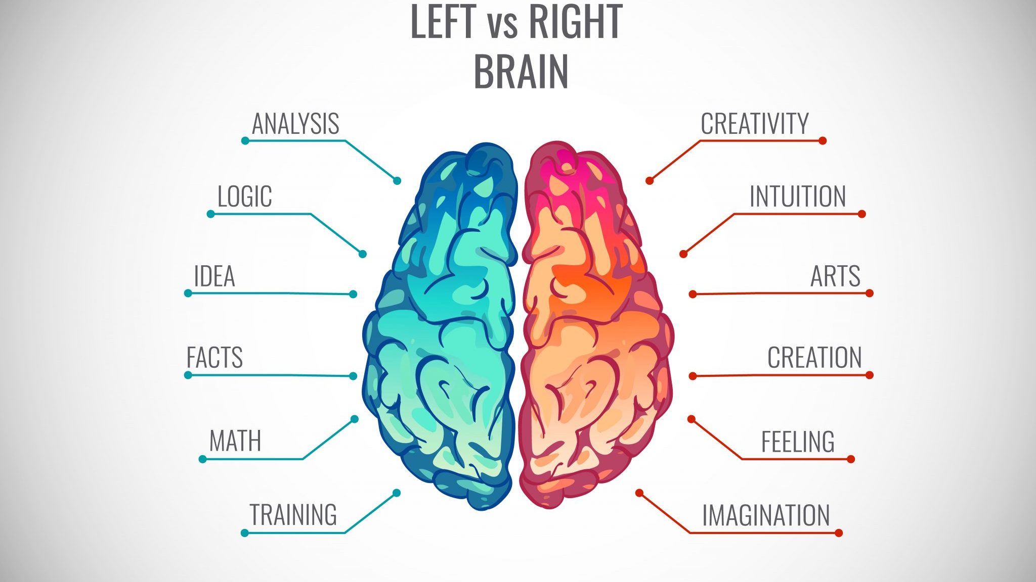 methods-for-determining-the-most-developed-hemisphere-of-the-brain