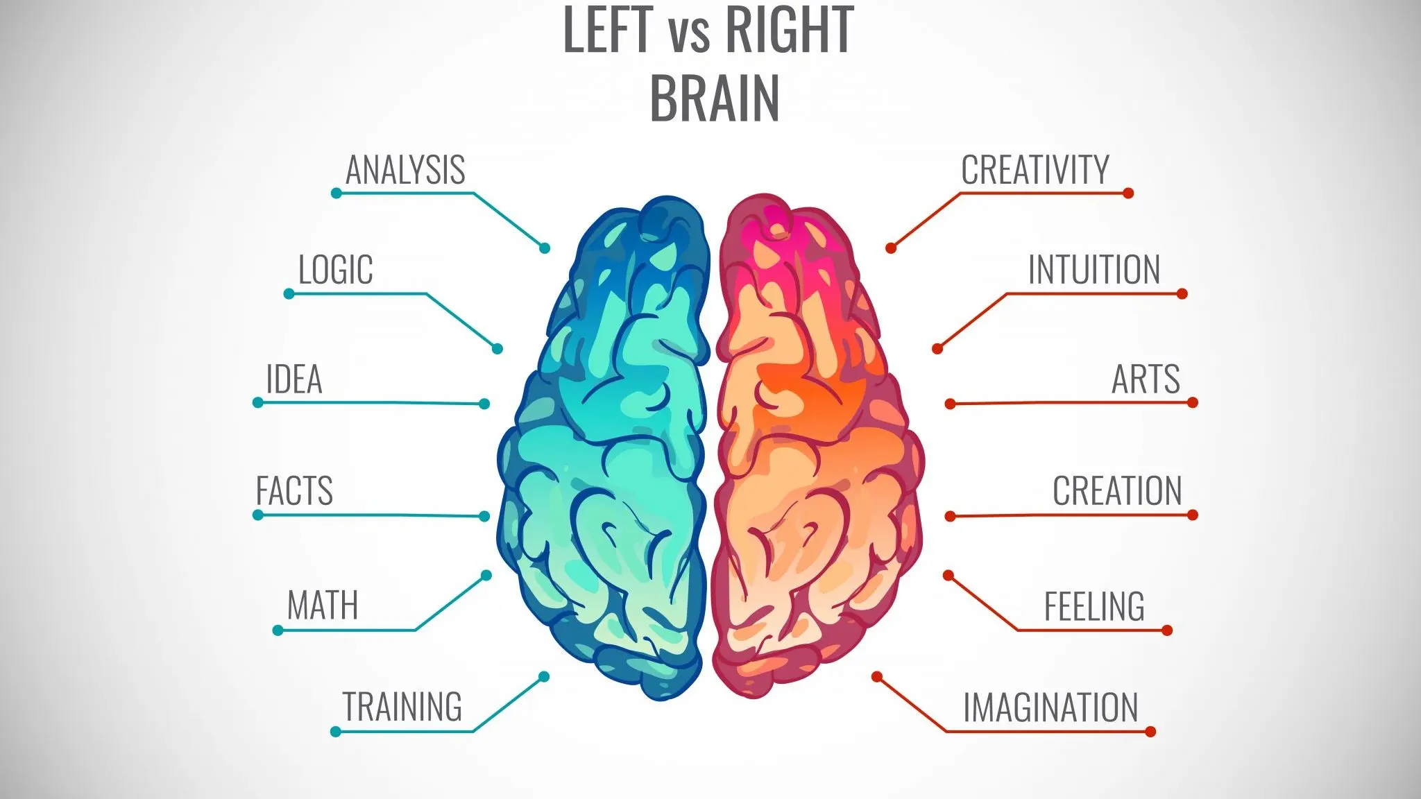 Methods for determining the most developed hemisphere of the brain