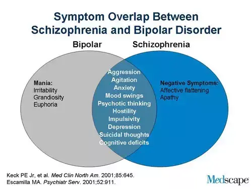 Paranoia and schizophrenia: what is the difference?