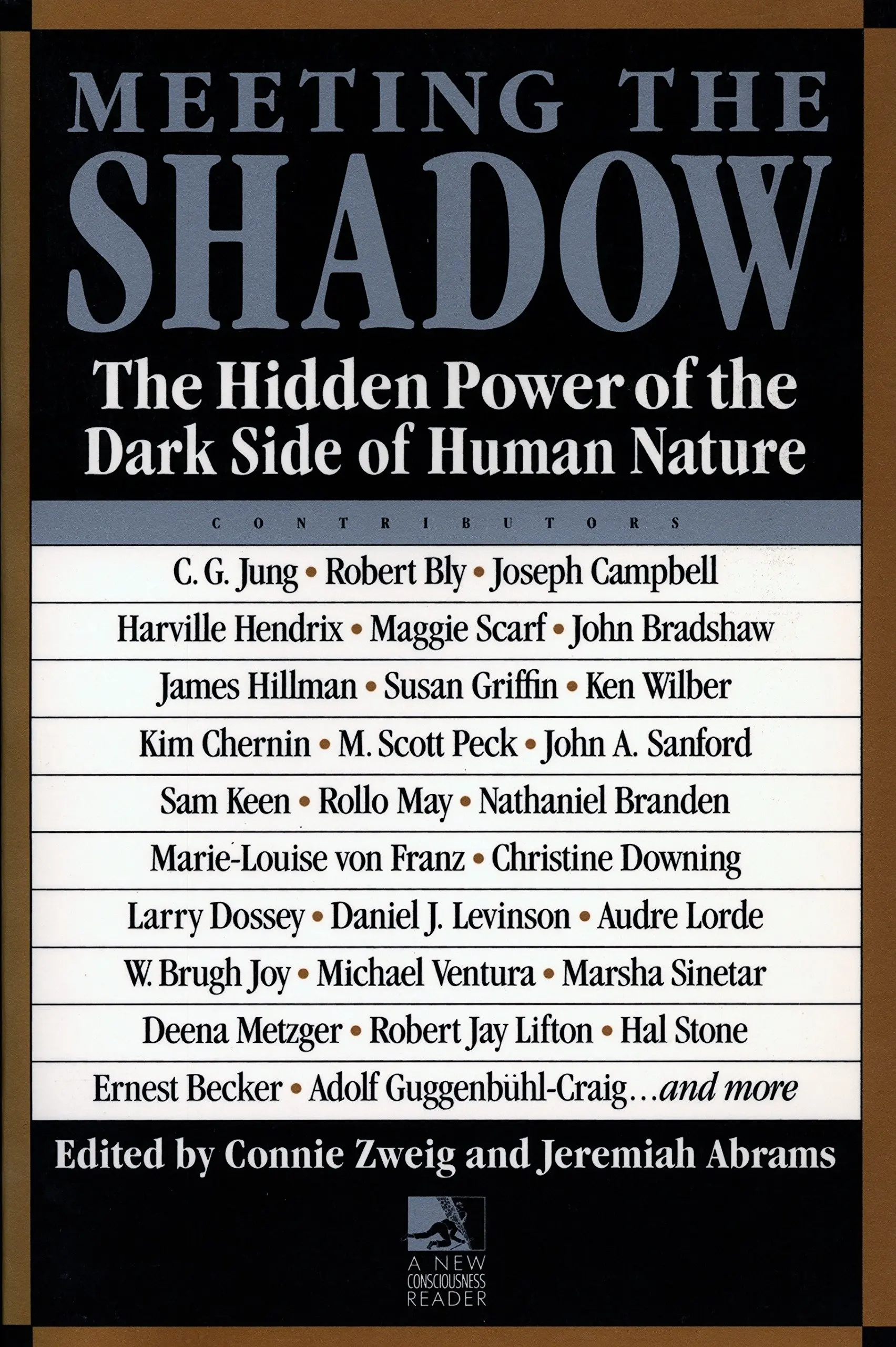 Playing with the Shadow: How to Use the Hidden Resources of the Personality