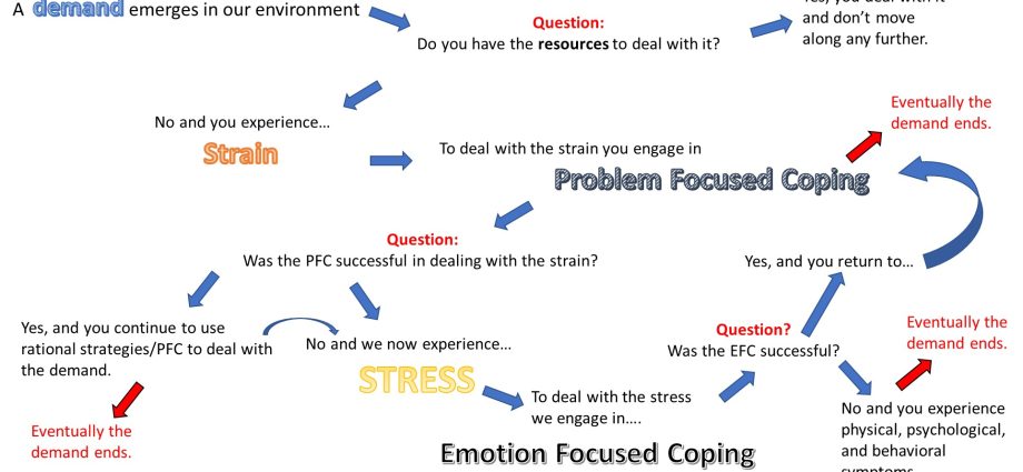 Recommendations of a psychologist when the question arises: what to do if everything infuriates?